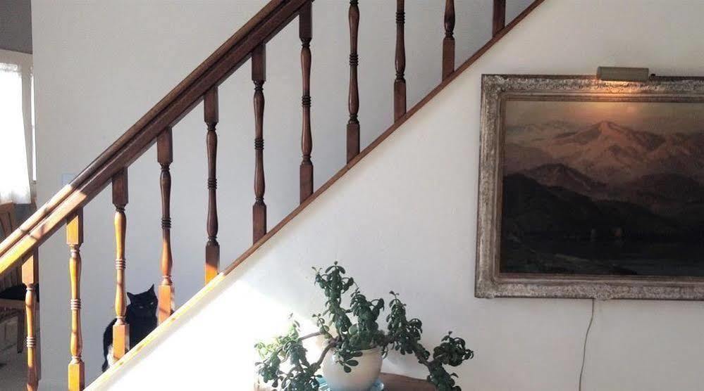 טראוורס סיטי Aberdeen Stone Cottage B&B מראה חיצוני תמונה